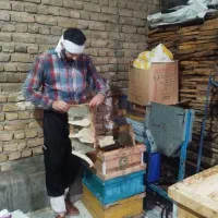 عسل طبیعی|خوردنی و آشامیدنی|قم, انصار‌الحسین|دیوار