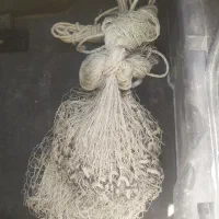 تور ماهیگیری