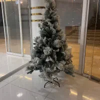 درخت کریسمس نو