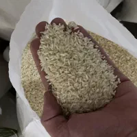 برنج عنبربو شوشتر تولکی به شرط پخت۱