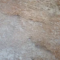 سلام  کاه گندم درسرپل ذهاب توی انبار شفته  کیلو ی|حیوانات مزرعه|قلعه شاهین, |دیوار