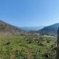 زمین مسکونی۱۵۰متری شفت لاسک با ویوی بسیار زیبا