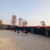 کارگر کار در پانسیون سگ