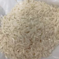 برنج طارم هاشمی