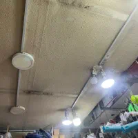 فروش فوری مغازه ۲۹متری بر اصلی بلوار انصاری|فروش مغازه و غرفه|رشت, فرزانه|دیوار