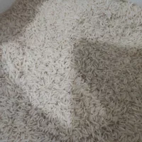 برنج طارم دم سیاه مینودشت درجه یک آب چشمه