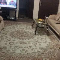 اجاره-روزانه-عینک-مجرد-متاهل