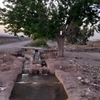 جاده قمصر خیابان ۳۶متری ۱۶متری کاظمی ۳۷۰متری|فروش زمین و ملک کلنگی|کاشان, دشت لتحر|دیوار