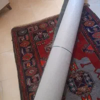 موکت نو|موکت|قزوین, |دیوار