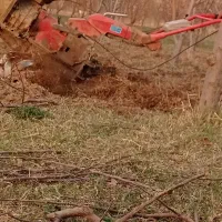 شخم زدن باغ