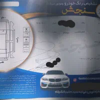 ۲۰۶ تمیز خانگی بدون رنگ|خودرو سواری و وانت|اصفهان, گلزار|دیوار
