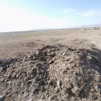 کود مرغ گوشتی بدونه واسطه ازخود مرغدار
