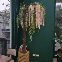 دکوراسیون خونه و کافه(گرین وال)