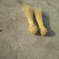 جاروی دستی