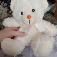 تمام عروسک ها