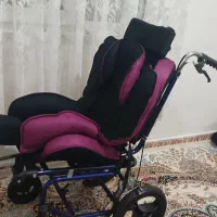 کالسکه ویلچری