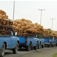 وانت با راننده ، نیسان ، مشارکت ، ایسوزو|استخدام حمل و نقل|تهران, میدان میوه و تره‌بار مرکزی|دیوار