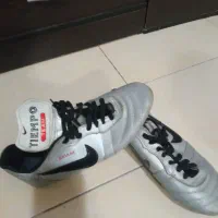 کفش نایک|کیف، کفش، کمربند|گلبهار, شهر جدید گلبهار|دیوار