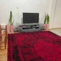 فرش کاملا سالم و نو|فرش|جویبار, |دیوار