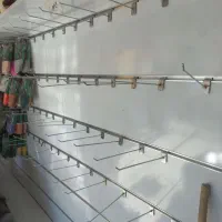 تخته رگال و شاخک رگال