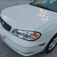 ماکسیما مدل ۸۸ خشک کمپانی