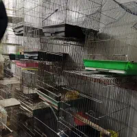 قفس پرنده انواع مدل کاسکوی .وساده