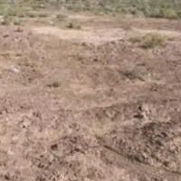 زمین-سندتک-برگ-6دانگ-مزرعه-نوجنب-مرغداری-طالبیان