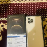 ایفون ۱۲ پرو گلد