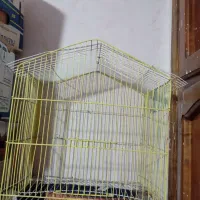قفس پرنده و طوطی و مرغ عشق و فنچ و قناری