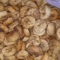 پرکاشن انجیل درشت تمیز سالم برای یلدا ۱۸۰تومن|درام و پرکاشن|زنجان, |دیوار