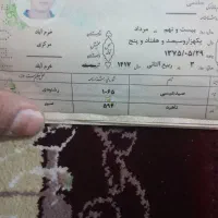 پیدا شدن شناسنامه
