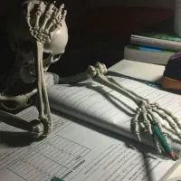 فروش یک عدد درسخوان