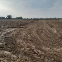 زمین کشاورزی اجاره ای