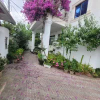 اجاره سوئیت دانشجویی /حیاط دار/ رامسر|اجارهٔ آپارتمان|رامسر, |دیوار