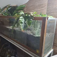 آکواریوم سالم