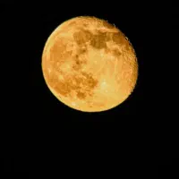 دوربین عکاسی و فیلم برداری کانون اس ایکس ۴۰|دوربین عکاسی و فیلم‌برداری|اردبیل, |دیوار