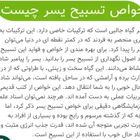 تسبیح یسر حجازی قدیمی ، نقره کوب|زیورآلات و اکسسوری|تهران, هروی|دیوار