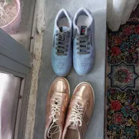 سالم ونو|کیف، کفش، کمربند|اردبیل, |دیوار