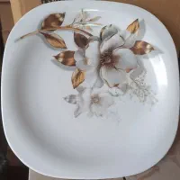 ظروف ملامین