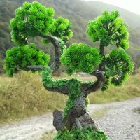 بنسای