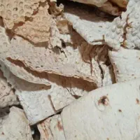 3گونی نون خشک تمبز