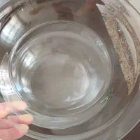 مرغ خوری فرانسه