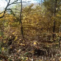 المتور بند میخوام