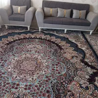 تربت حیدریه