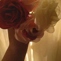 رز روبانی