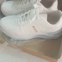 کتونی اکو|کیف، کفش، کمربند|ملارد, |دیوار