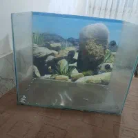 اکواریوم