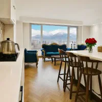 ۱۱۰ متر، نور و نقشه و ویو زیبا مثل رویـا، آرژانتین