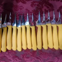 چاقومخصوص ماهی پاک کردن