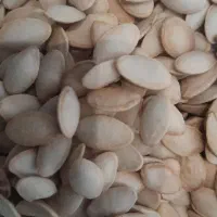 تخمه‌کدو‌تازه‌وپر‌خوشمزه|خوردنی و آشامیدنی|بروجرد, |دیوار